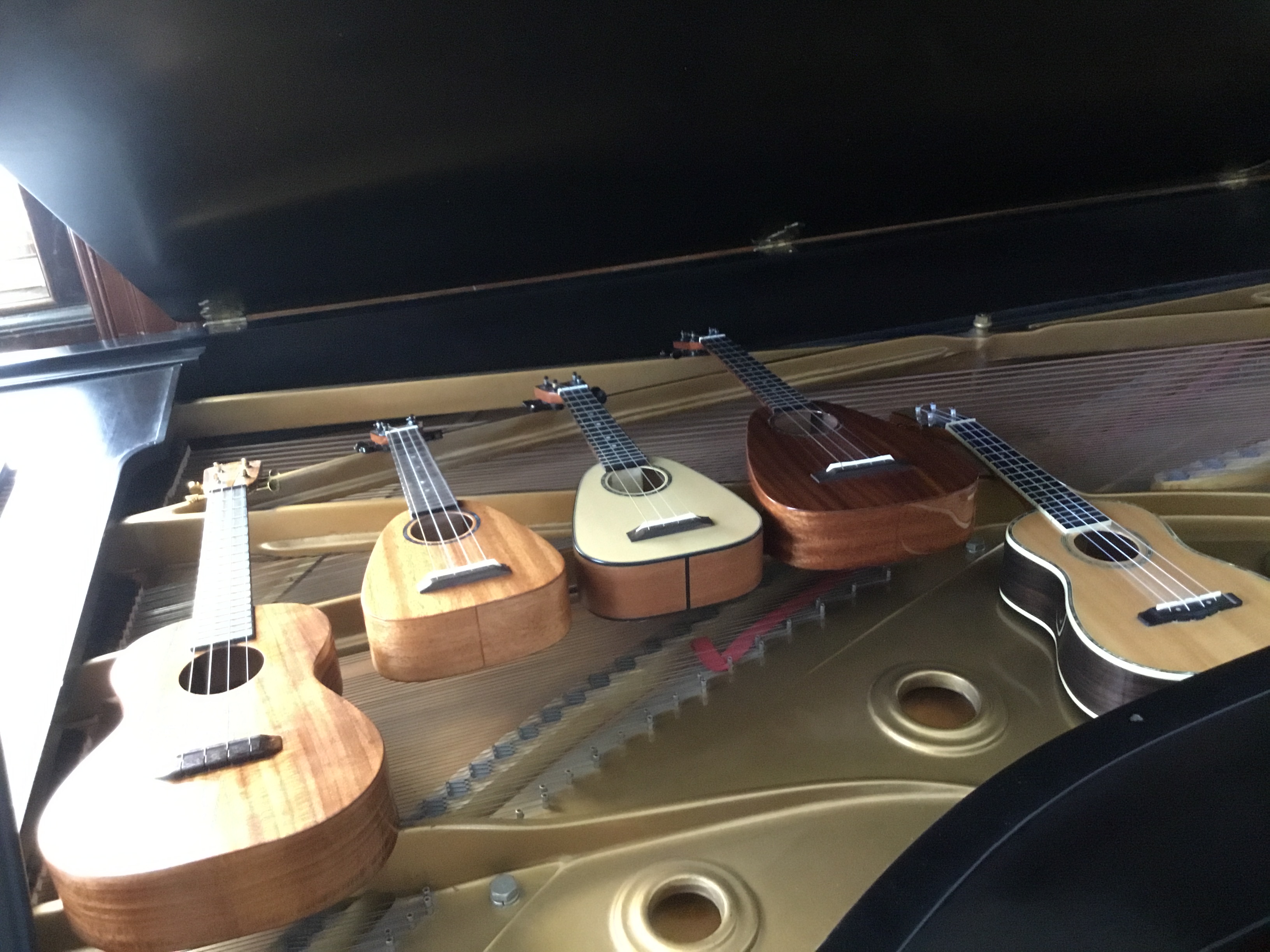 Your first ukulele borrow rent or buy Concert Blog